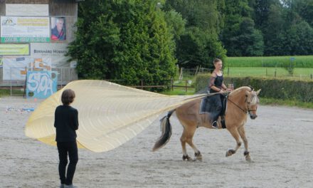 Erlebnistag auf dem Aschenthaler Hof ein Riesenerfolg